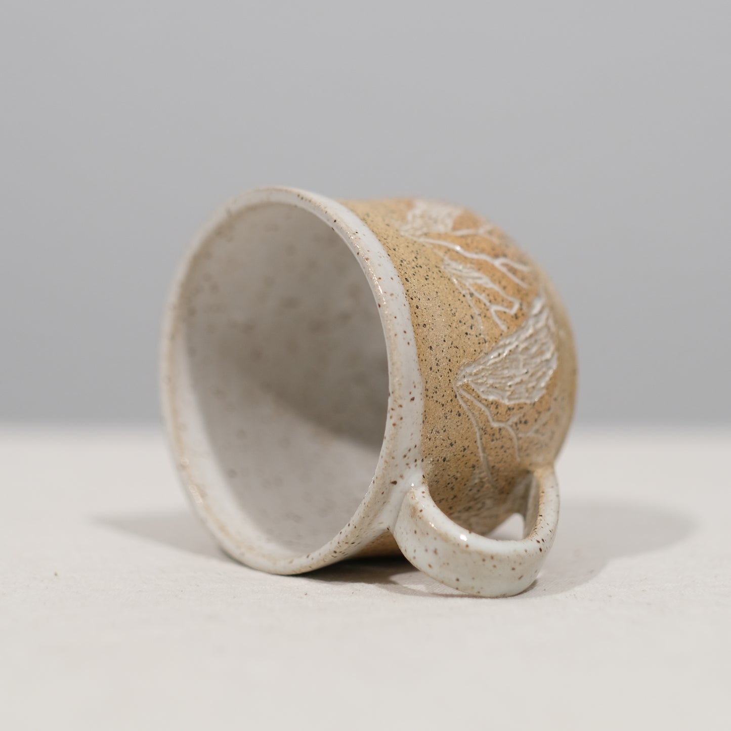 Desert Mountain Coffee Mug