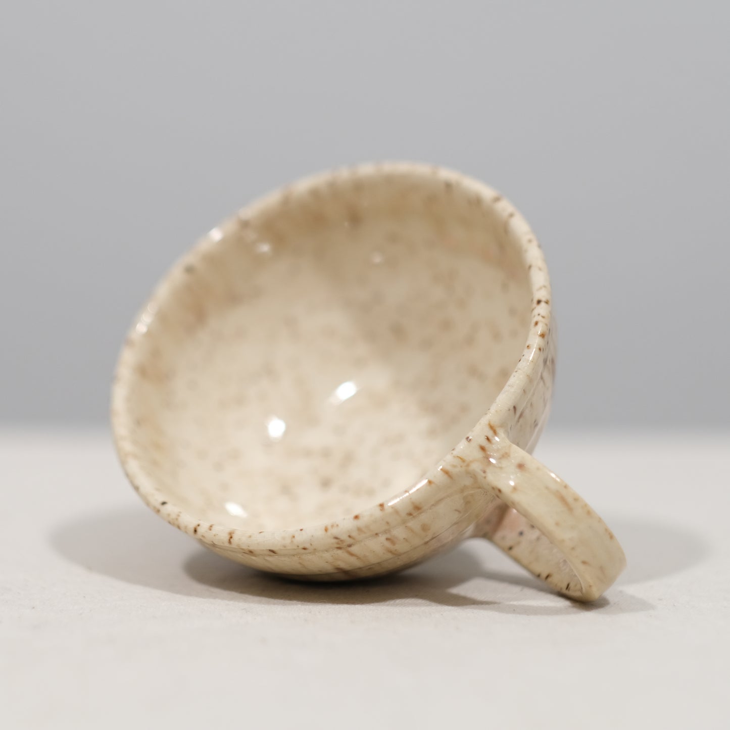 Champagne Speckle Mug