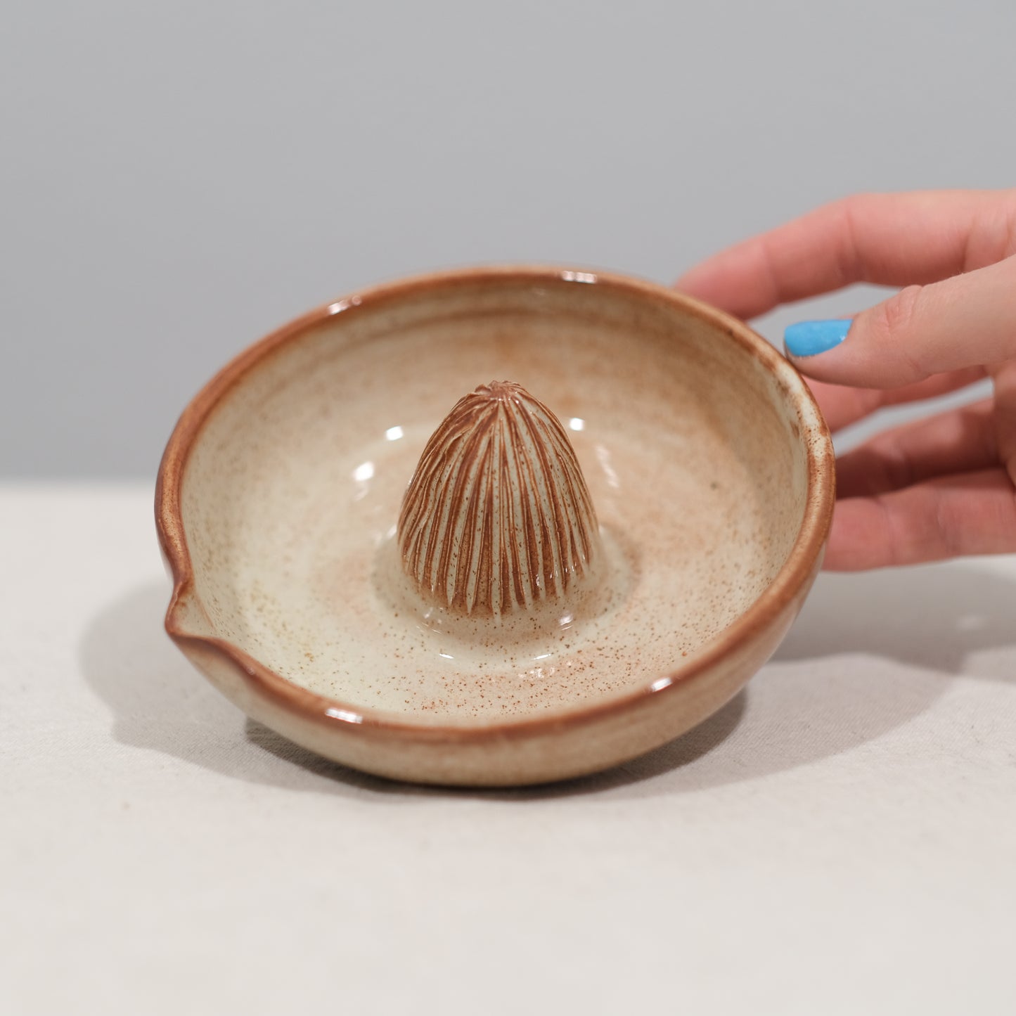 Cinnamon Citrus Juicer