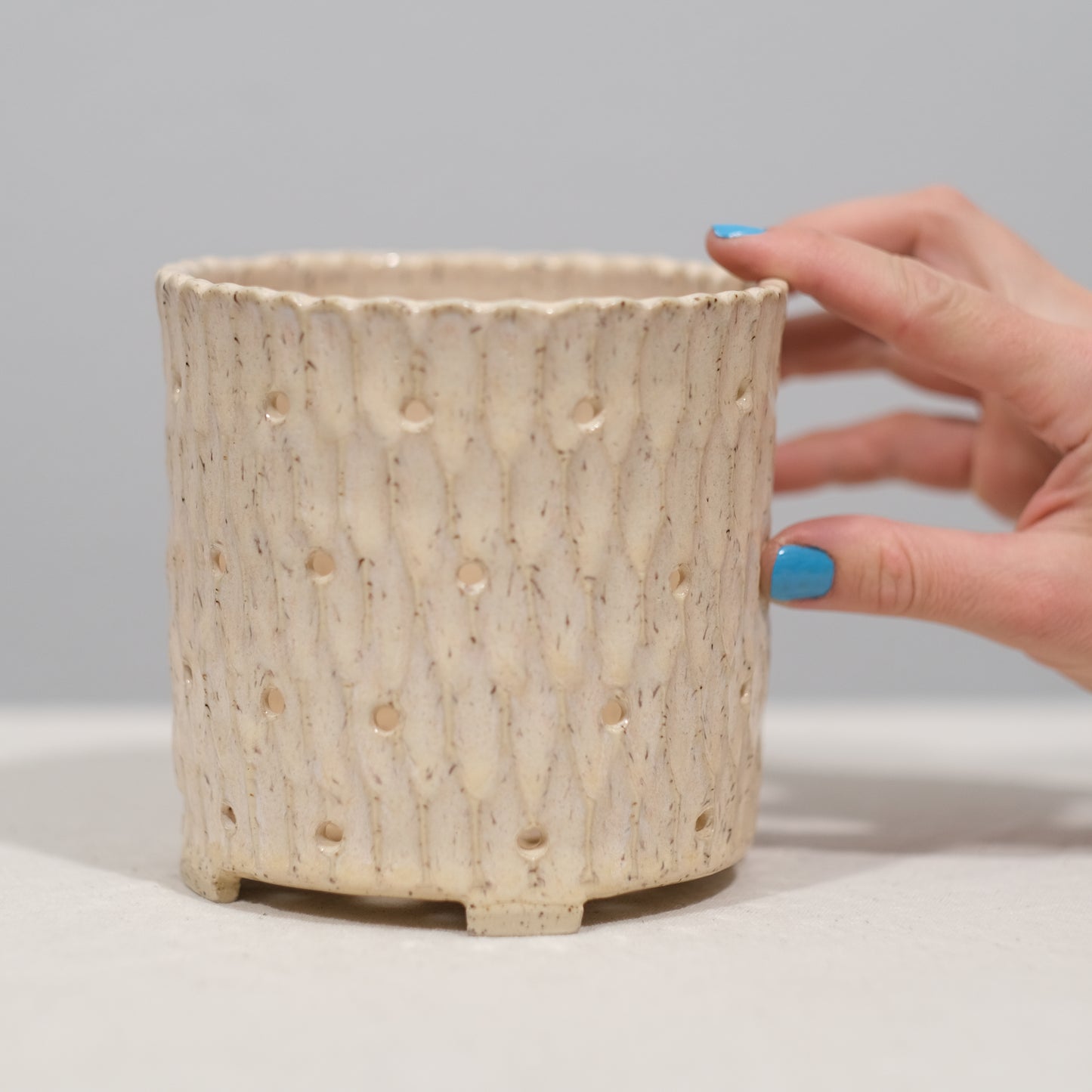 Ivory Orchid Planter