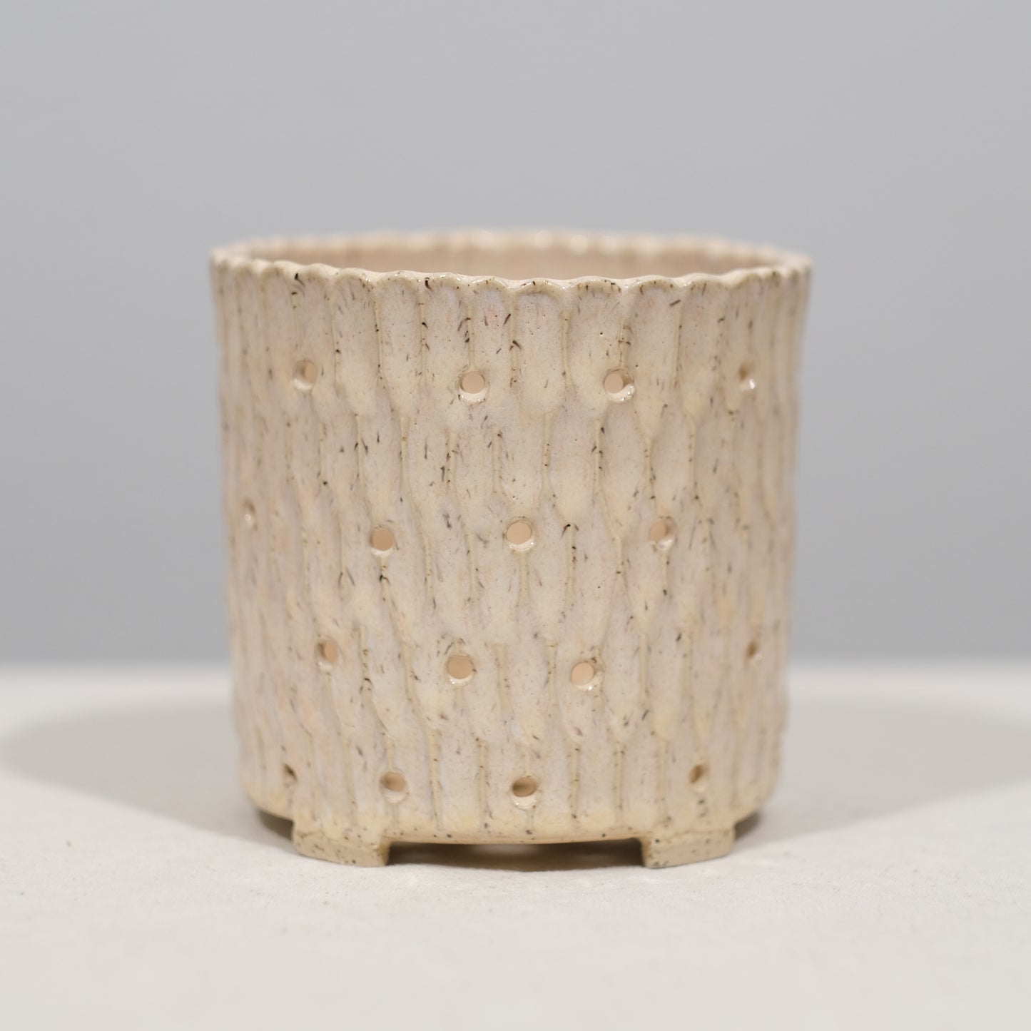 Ivory Orchid Planter
