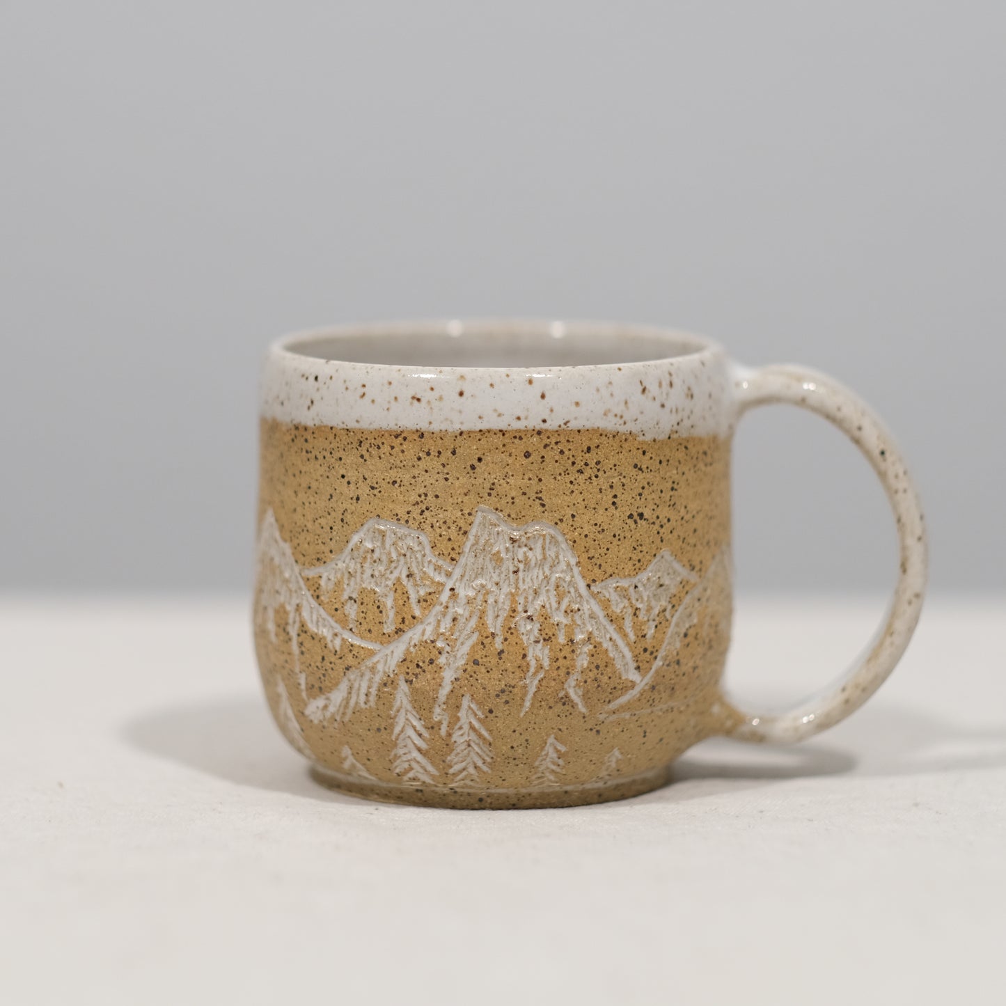 Desert Mountain Trees Mug