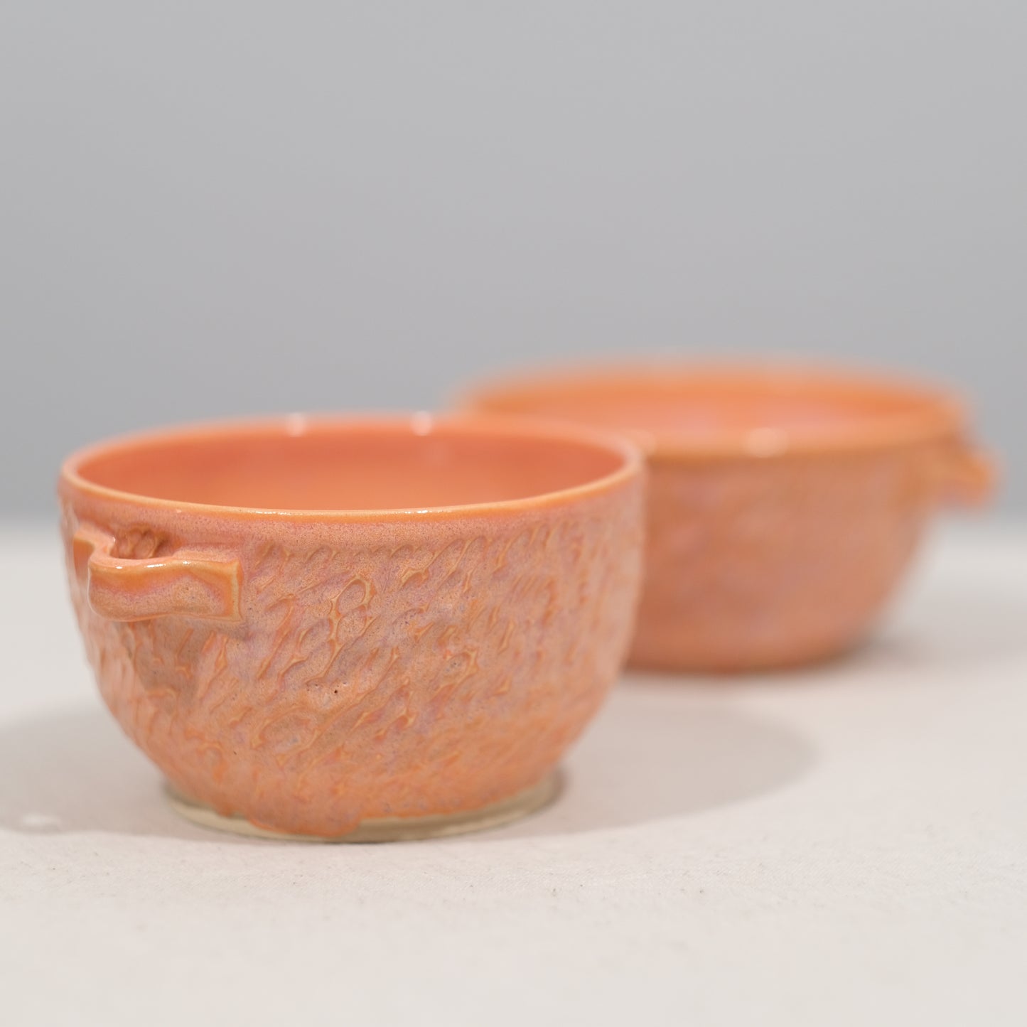 Coral Soup Bowl Pair
