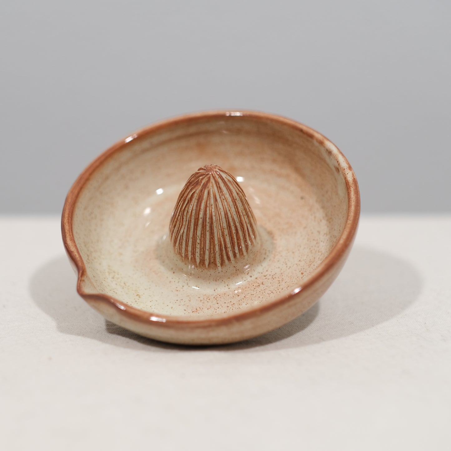 Cinnamon Citrus Juicer