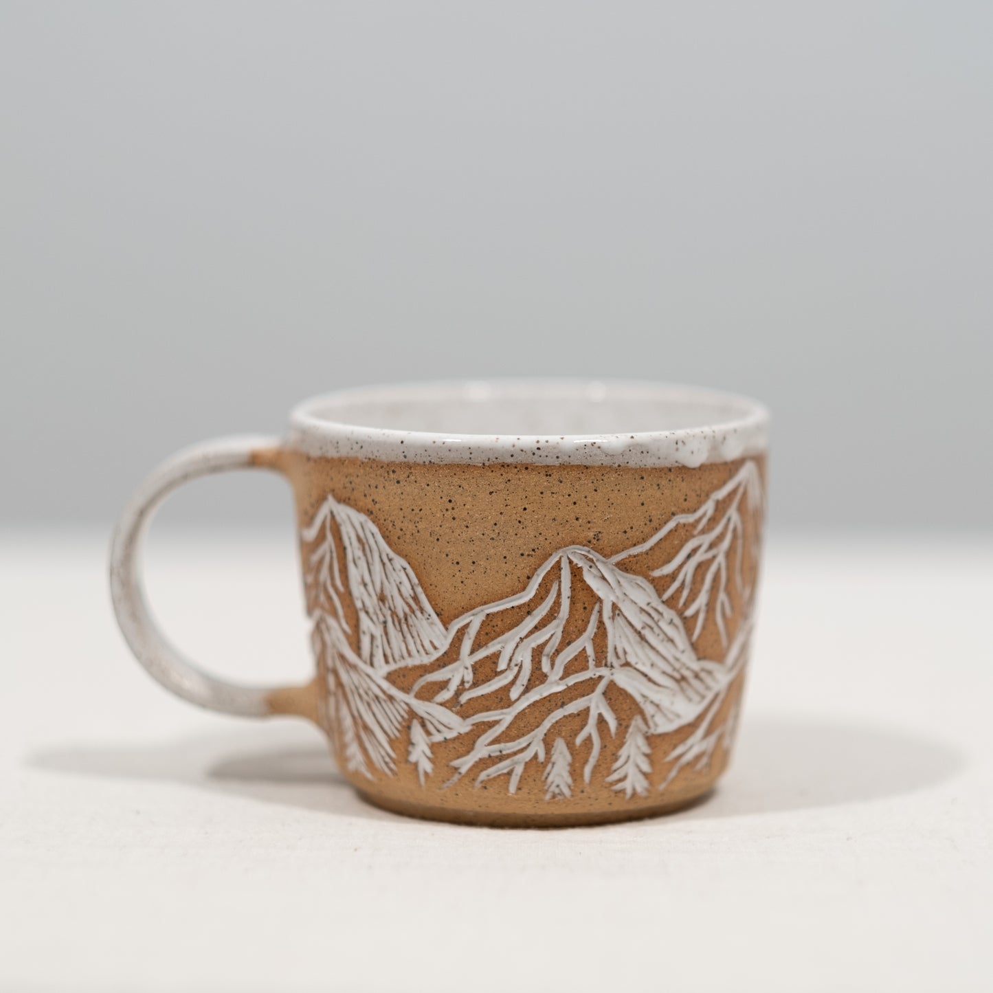 Desert Mountain Mug