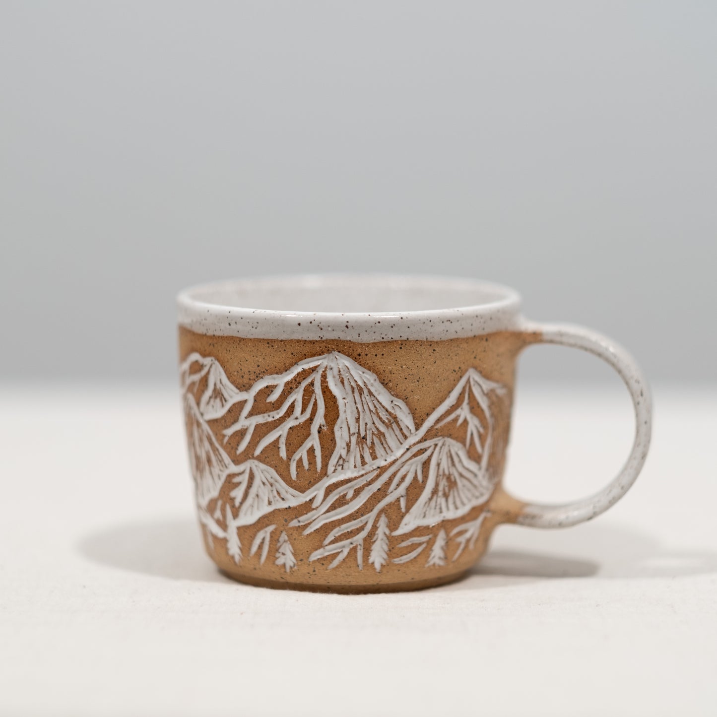 Desert Mountain Mug